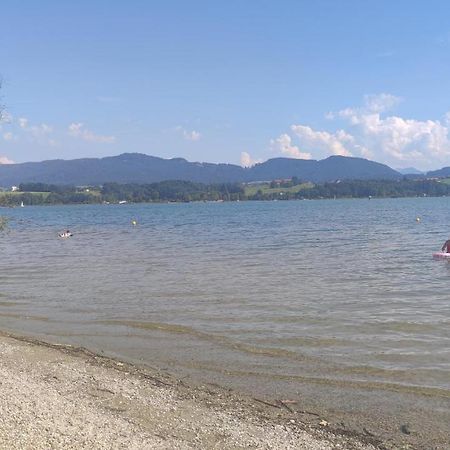 Helming Glamping Wallersee - Unter Dem Kastanienbaum מראה חיצוני תמונה