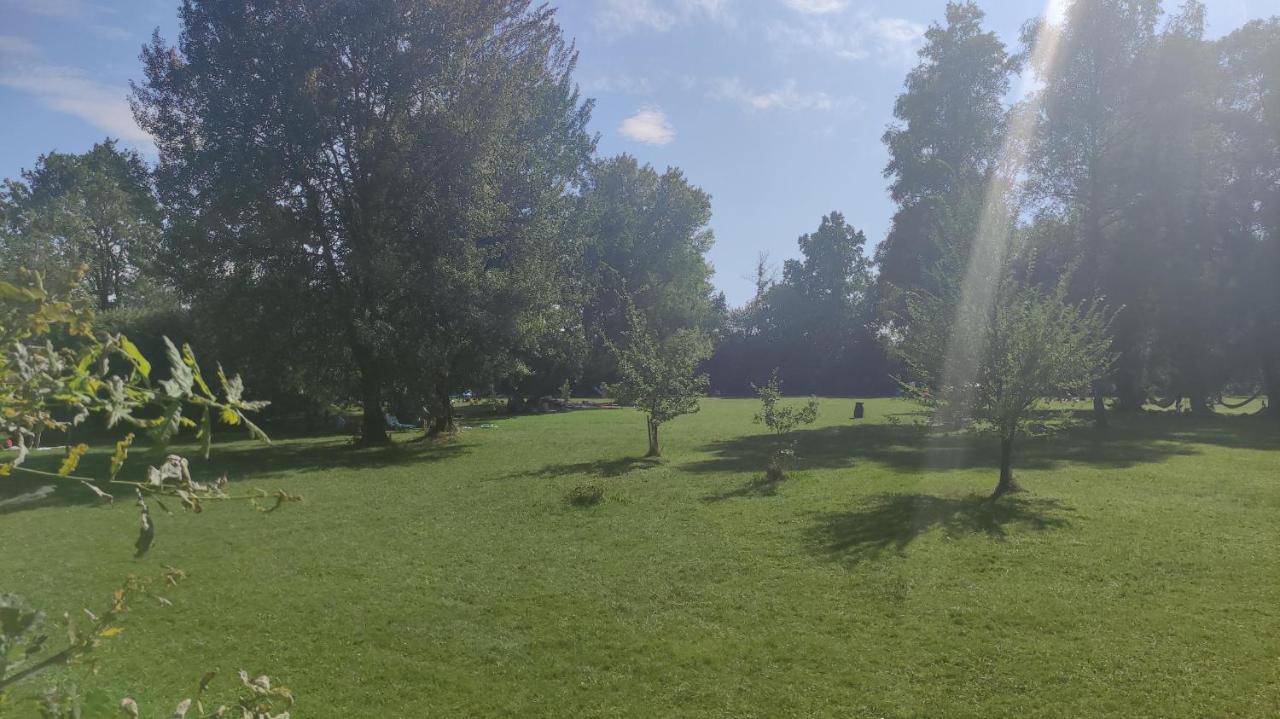 Helming Glamping Wallersee - Unter Dem Kastanienbaum מראה חיצוני תמונה